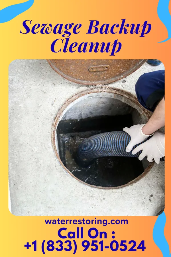 Sewage Backup Cleanup in Liberty, MO